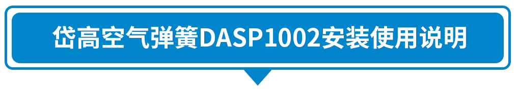 DASP1002.jpg