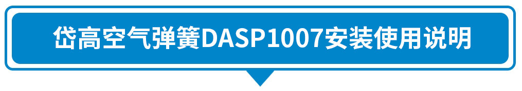 DASP1007.jpg