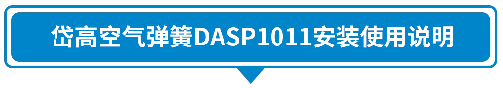 DASP1011.jpg