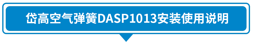 DASP1013.jpg