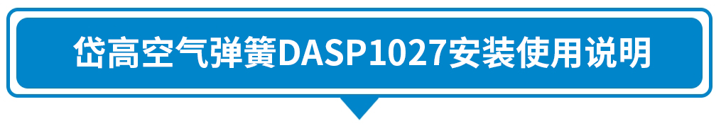 DASP1027.jpg