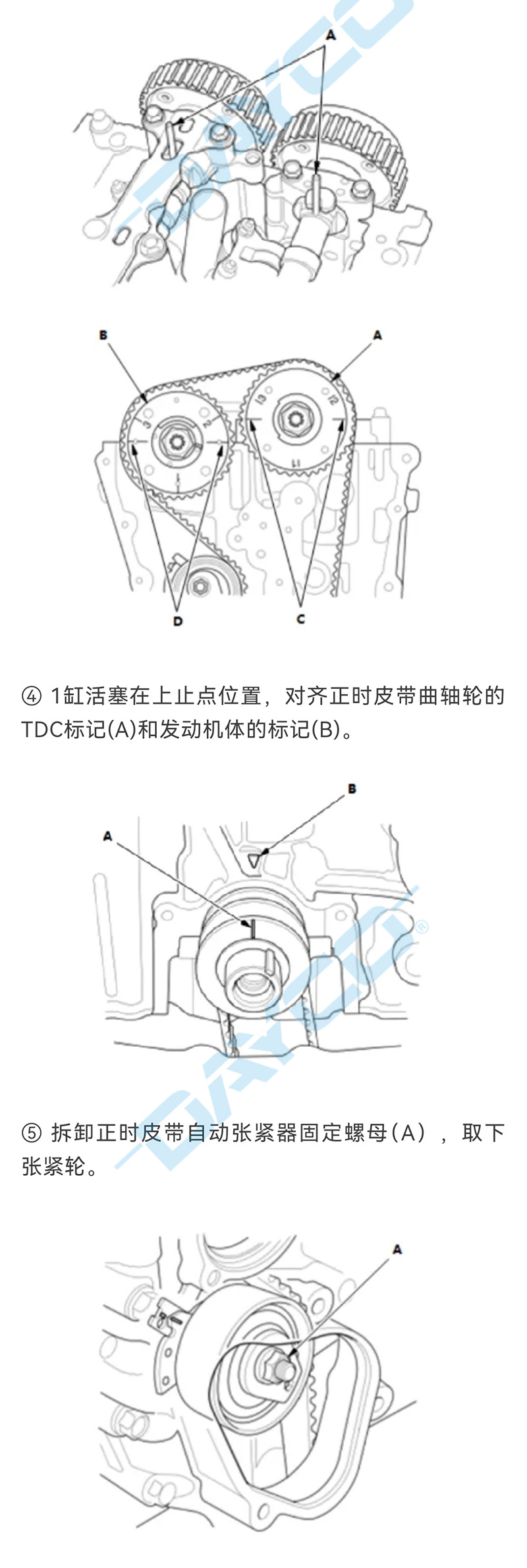 KBIO12水印_03.jpg