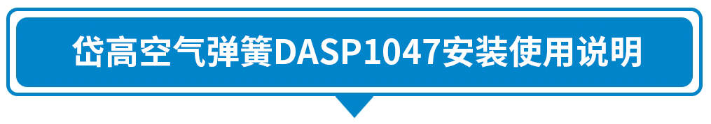 DASP1047.jpg