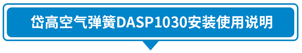 大标题DASP1030.png